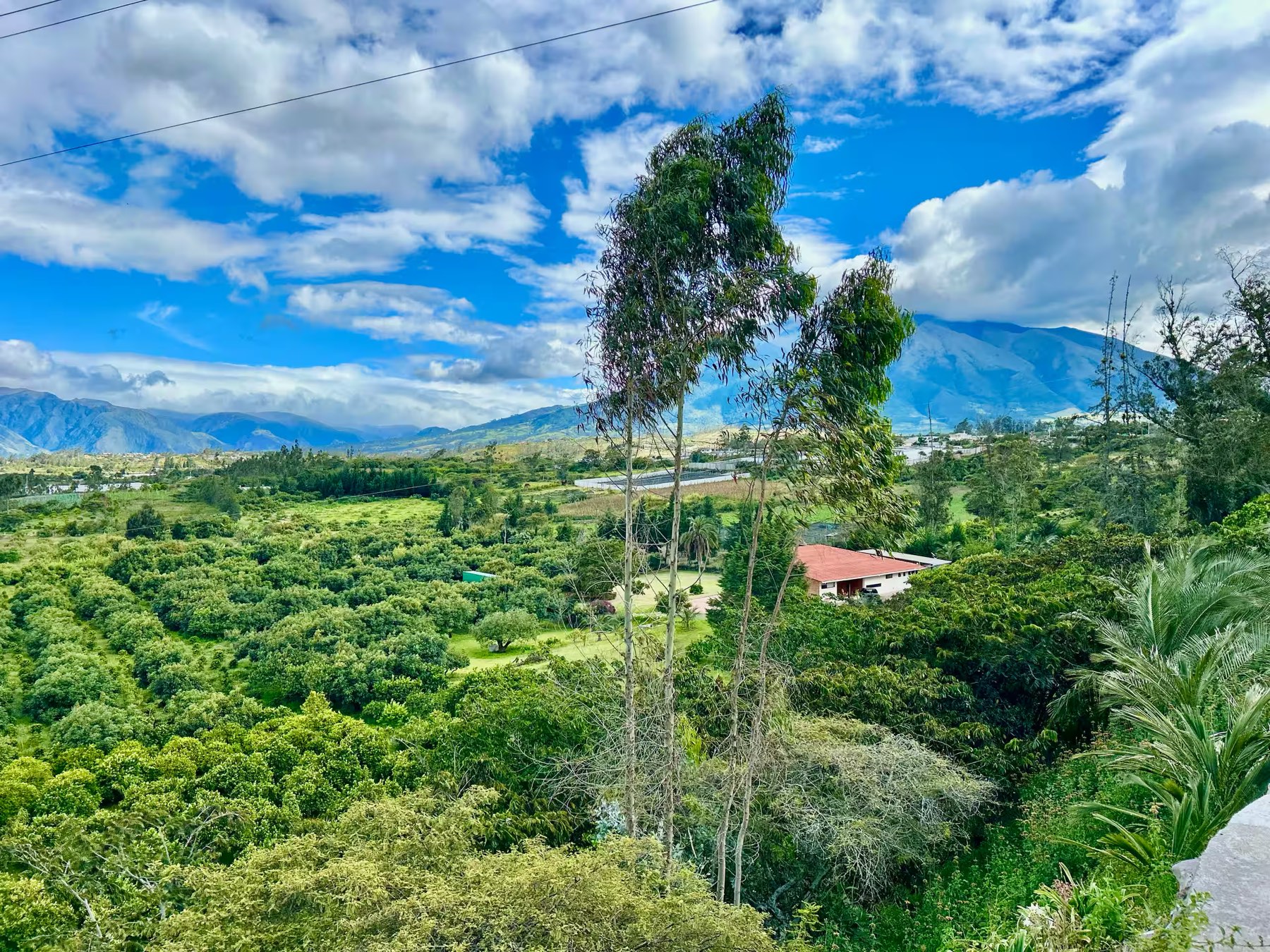 Valle de Chaltura desde Finca El Paraíso, Imbabura