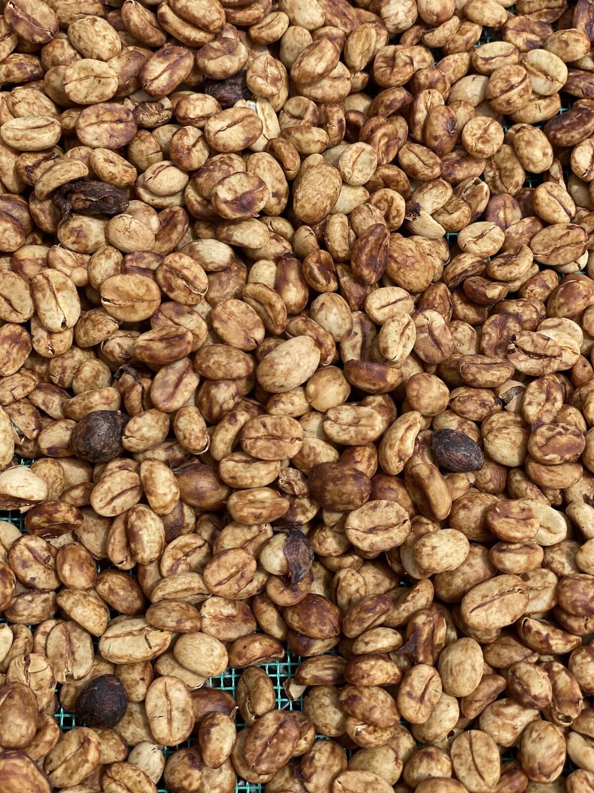 Honey-processed parchment